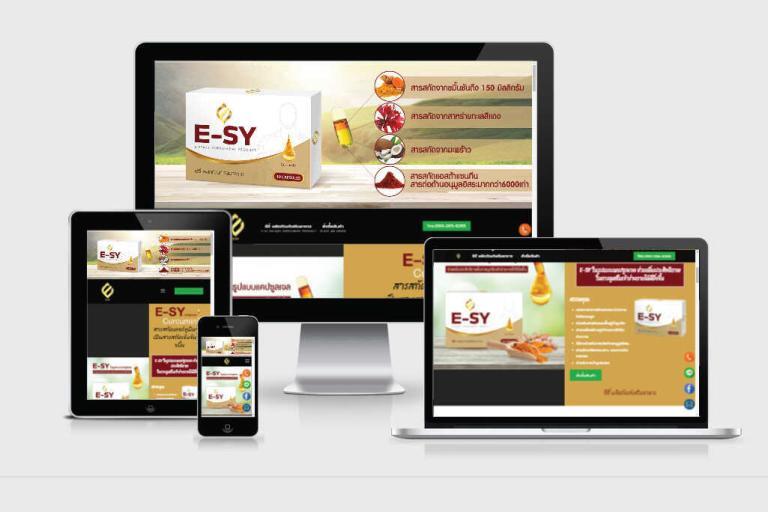 รับทำเว็บไซต์ รับทำเว็บไซต์