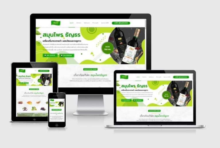 รับทำเว็บไซต์บริษัทสมุนไพร รับทำเว็บไซต์บริษัทสมุนไพร