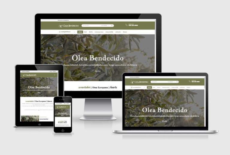 รับทำเว็บไซต์จำหน่ายต้นมะกอกโอลีฟนำเข้า รับทำเว็บไซต์จำหน่ายต้นมะกอกโอลีฟนำเข้า