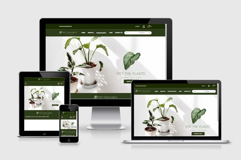 รับทำเว็บไซต์ขายส่งต้นมะกอกโอลีฟ และต้นสน