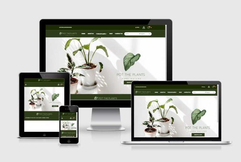 รับทำเว็บไซต์ขายส่งต้นมะกอกโอลีฟ และต้นสน รับทำเว็บไซต์ขายส่งต้นมะกอกโอลีฟ และต้นสน