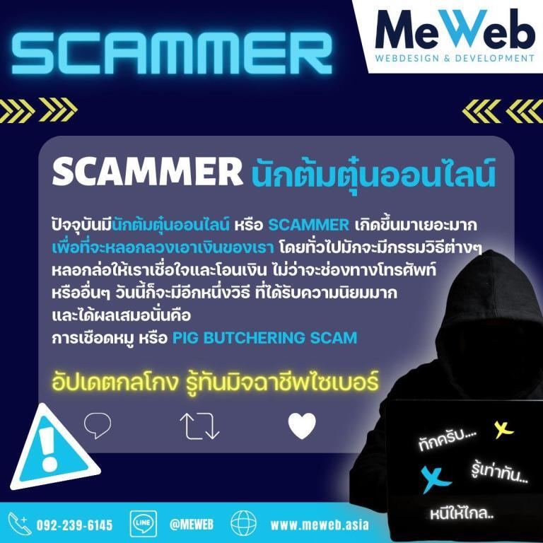 Scammer นักต้มตุ๋นออนไลน์ Scammer นักต้มตุ๋นออนไลน์