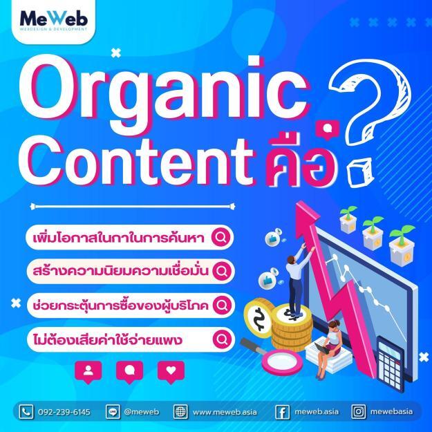 🎯 จริงหรือไม่ Organic Content ช่วยให้ติดหน้าแรกบน Google Search?