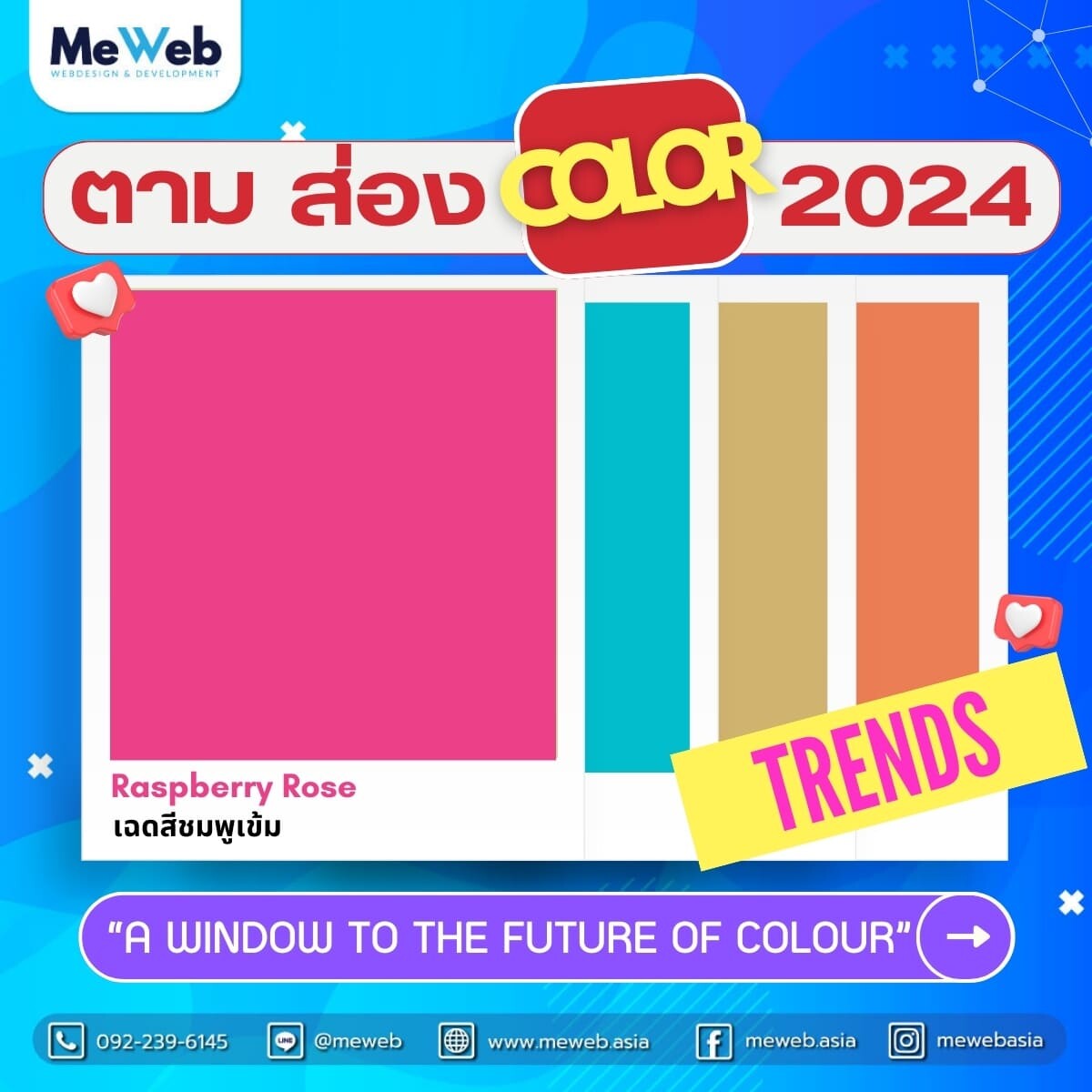    โทนสี 2024 